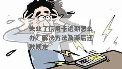 失业期间如何处理信用卡逾期还款问题