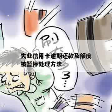 失业期间如何处理信用卡逾期还款问题