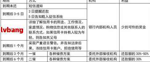 无业状态下的债务解决策略：从信用卡到协商还款全攻略