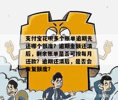 支付宝花呗逾期还款后，如何处理剩余款项并确保不再产生额外费用？