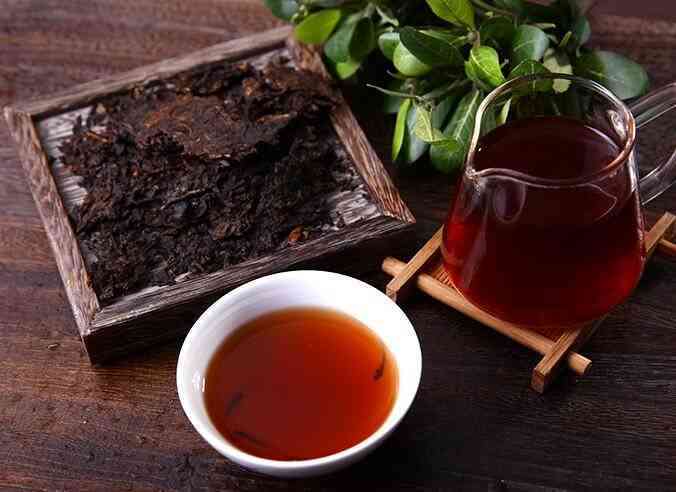 昔归古树普洱茶价格：2019年生茶与熟茶特点及2023年预计价格