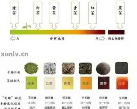 普洱茶紧压茶制作与品质标准研究