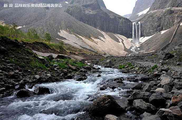 2014年份冰岛古树普洱茶：口感独特，收藏稀有佳品