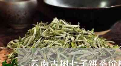 古树茶七子饼普洱茶价格2013云南六大茶山古树木七子饼