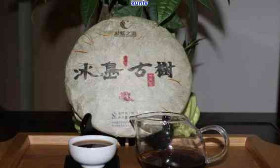 冰岛古树普洱茶熟茶十年以上能喝吗？357克价格是多少？