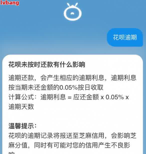 花呗逾期还款全攻略：如何制定还款计划、避免罚息以及解决逾期问题