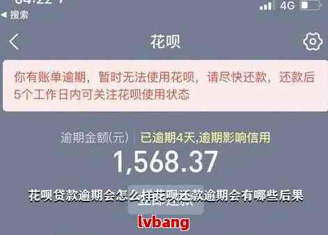 花呗逾期还款全攻略：如何制定还款计划、避免罚息以及解决逾期问题