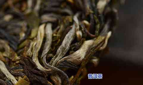 困鹿山普洱茶生茶：蜜香型的全面解析及其品质特点