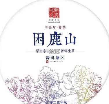 困鹿山普洱茶生茶：蜜香型的全面解析及其品质特点