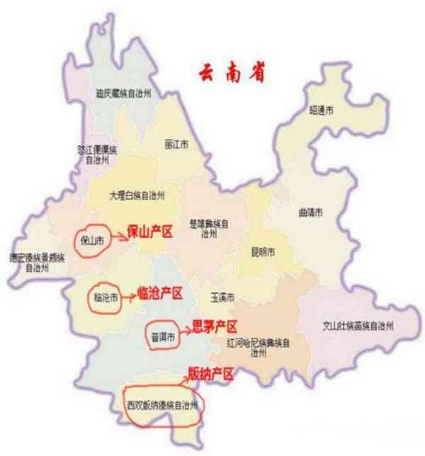 2021年普洱茶市场分析：古树茶价格趋势及最新批发报价