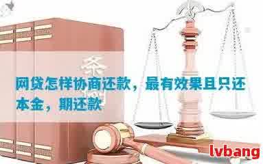 如何进行网贷还款协商：全面策略与实用指南