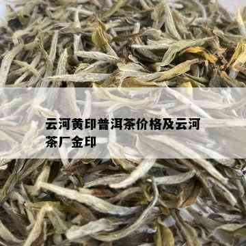 金色云河茶厂官网：金色云河普洱茶多少钱？