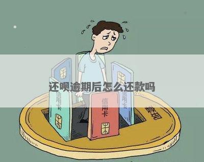 还呗软件逾期怎么办