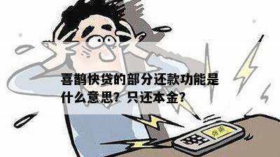 喜鹊快贷：是否允期还款？了解详细规定及申请流程