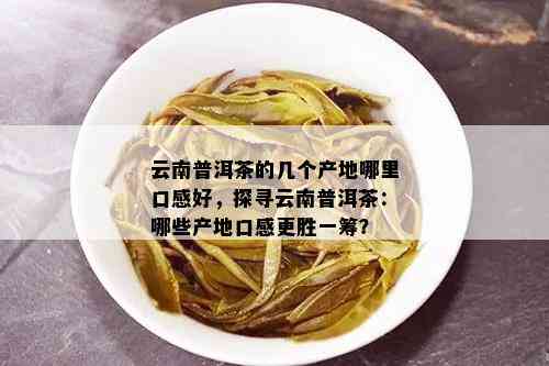 探究芸硕茶坊普洱茶：云南原产地的口感与特色体验