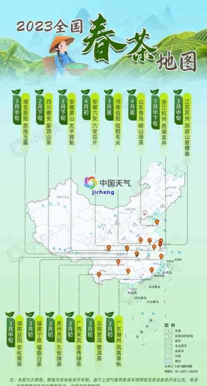 2023年云南普洱茶春茶上市时间及品种盘点