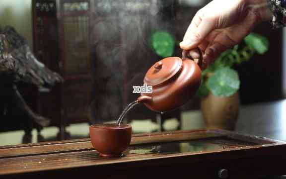 紫砂锅与普洱茶：一款完美的茶叶组合是什么？如何选择和冲泡？