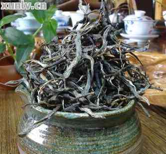 优质普洱茶500年古树品种，一斤批发价格多少？如何获取货源？