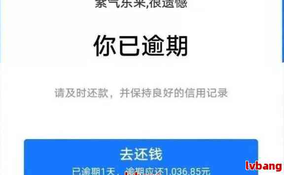 支付宝逾期想协商还款应该通过哪个部门申请？