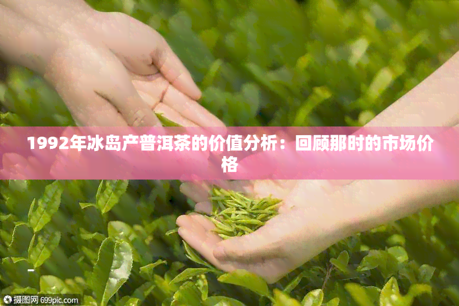 1992年冰岛茶饼：一款珍贵的普洱茶收藏品及其市场价值