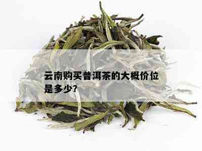 云南普洱茶367克的市场价格与品质分析