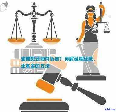 全面指南：协商还本金过程中需注意的关键事项与策略