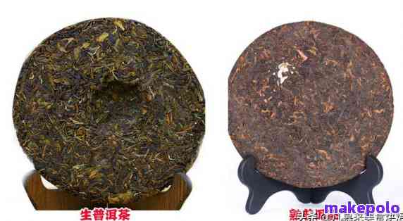 普洱茶的六大类别及其特点：探寻普洱茶的品种大全