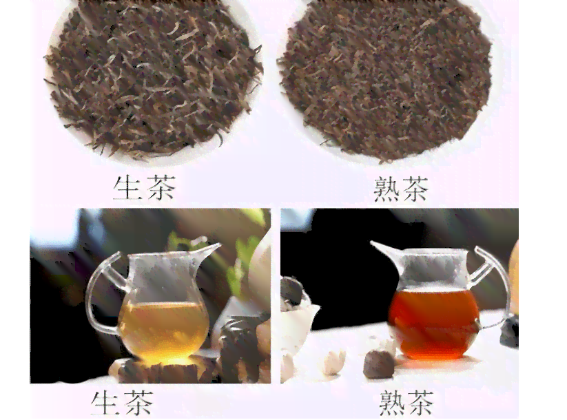 普洱茶的饮用年限是哪一年？如何判断普洱茶是否适合饮用？