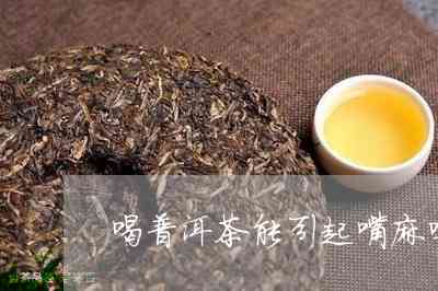 喝普洱茶后嘴巴发麻的原因及解决方法解析