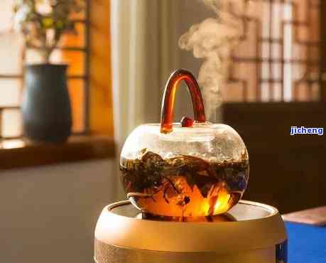 探索普洱茶的两种烹饪方法：蒸汽与煮茶，哪一种更适合品尝醇厚口感？