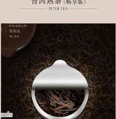 小罐茶普洱茶的保质期及保存方法，一文详解