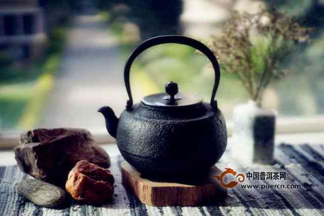 如何选择合适的茶壶泡制普洱茶：材质、大小和度等多方面因素分析