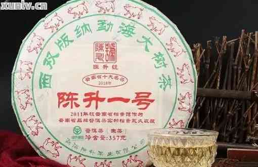 昆明陈记普洱茶：口感、品质与资讯全方位解析