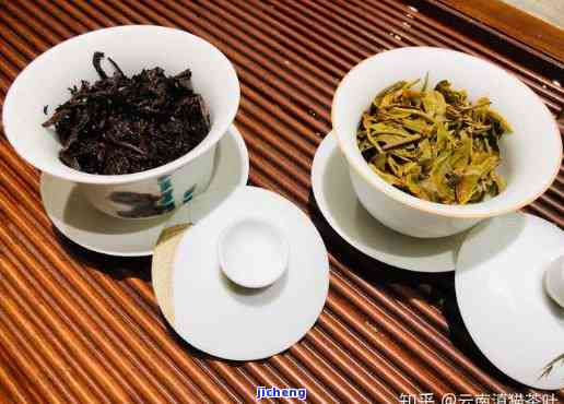 普洱茶与勐茶：口感对比与选择建议，哪个更适合你的口味？