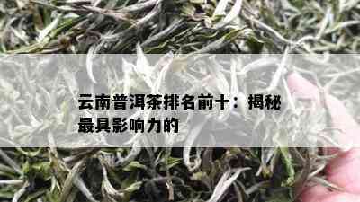 云南普洱茶京东榜单揭晓：更具人气与口感的十大排行