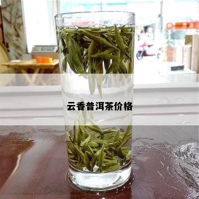 正宗云香浓普洱茶价格多少一斤：了解这款名茶的市场价位