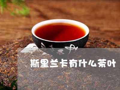 勐海陈记茶厂：品质越，品种丰富，为您提供一站式茶叶体验