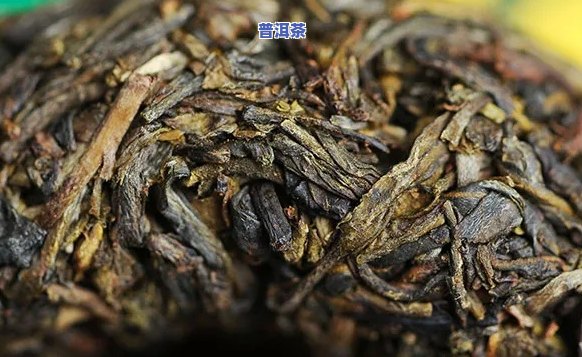 普洱茶价格差异解析：生茶与熟茶为何如此不同？