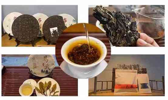 普洱茶叶存放时间及金花形成探讨：普洱茶叶品饮期是多久？