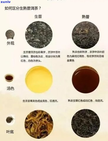 普洱茶一小块一小块的：泡法、品质和种类，你了解多少？