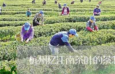 忆江南茶叶：杭州独特风味，引领茶业新风