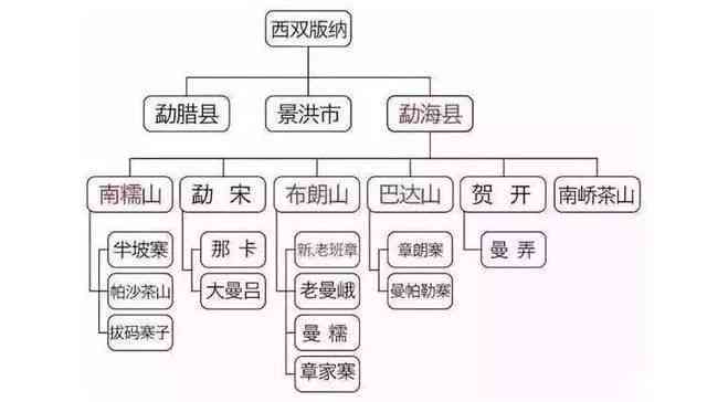 普洱茶三大茶区与山头详解：探索产地与品质的奥秘