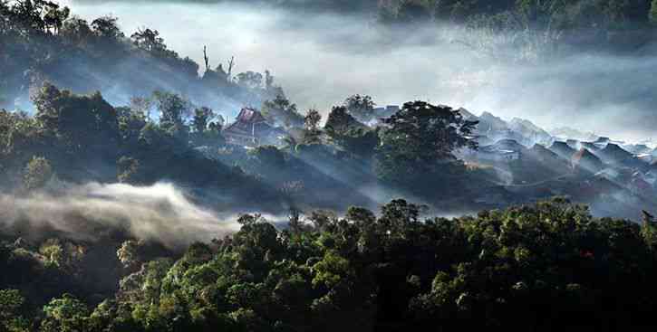 普洱茶三大茶区与山头详解：探索产地与品质的奥秘