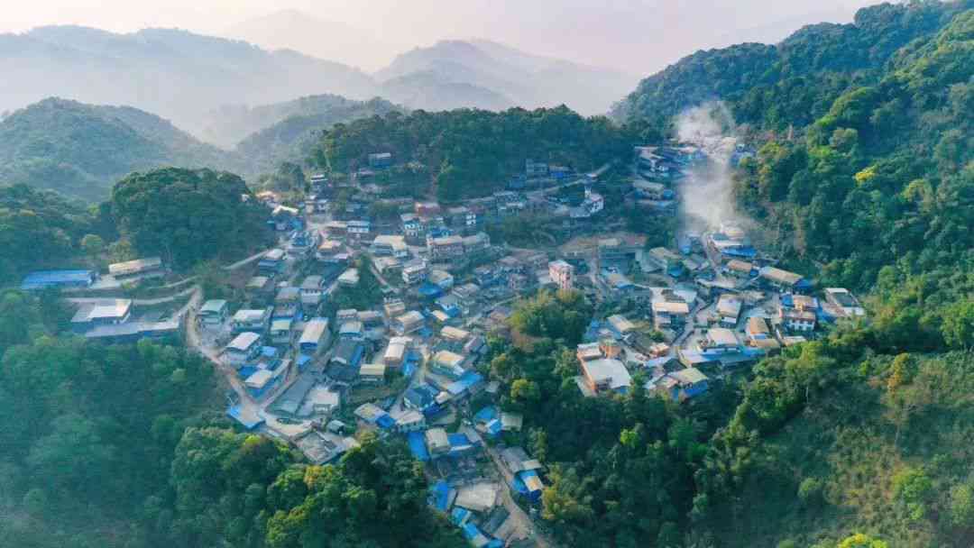 普洱茶的几大山头：探寻茶叶产地及其特点，了解不同山头的普洱茶区别与品味