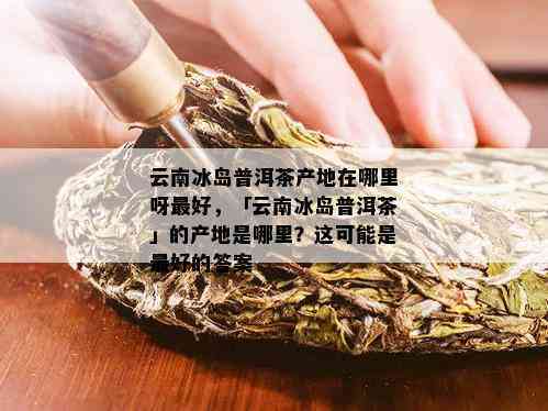 冰中岛普洱茶：品种、产地、制作工艺、口感和功效的全面解析与品鉴指南