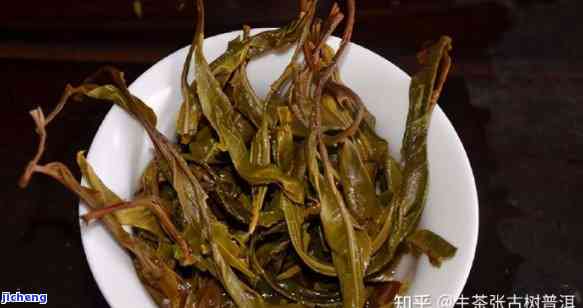 普洱茶里怎么有小棍？普洱茶里的小棍状物是什么？