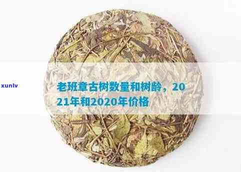 老班章古树普洱茶多少钱一饼：2021年最新价格、特点及品鉴方法