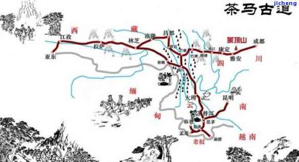 '最早的普洱茶在哪里生产：揭示历秘密和产地线索'