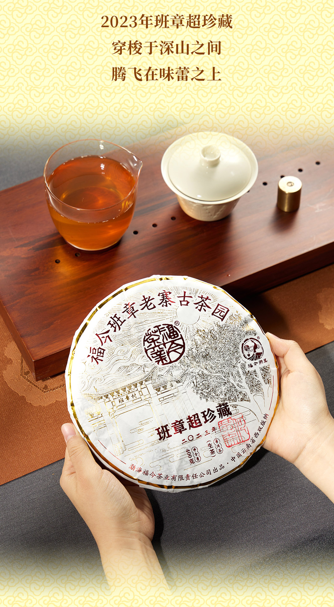 今大福2023珍藏青饼普洱茶