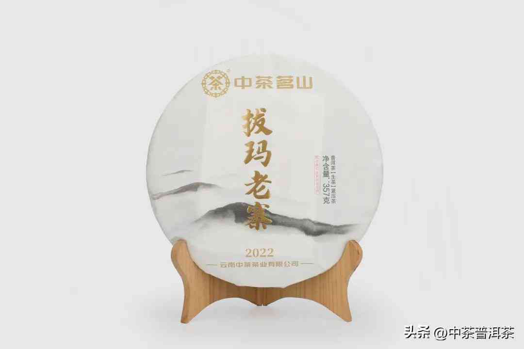 普洱茶紧压的独特魅力：为什么普洱茶要紧压？